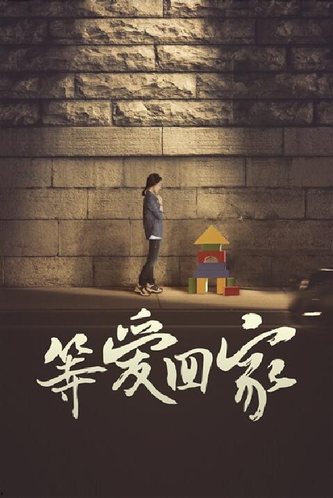 《等爱回家》在线观看,温情治愈，家庭情感大剧深度剖析